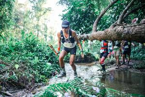 BIB: 
                            <button type="button" onclick="openModal(25444082)" class="btn btn-primary btn-sm float-right btn-popup" data-toggle="modal" data-target=".modal-high-quality">
                        <i class="fas fa-shopping-cart"></i> Add to Cart
                    </button>
                                            <button type="button" onclick="isThisMe(25444082, true)" class="btn btn-success btn-sm float-right btn-popup btn-isme hidden" data-toggle="tooltip" data-placement="bottom" title="นี่คือรูปของคุณใช่ไหม คลิกที่นี่เพื่อเอาเข้าอัลบั้ม">
                        <i class="fas fa-plus"></i> Add to album
                    </button>
                    <button type="button" onclick="isThisMe(25444082, false)" class="btn btn-warning btn-sm float-right btn-popup btn-isnotme hidden">
                        <i class="fas fa-ban"></i> Remove from album
                    </button>